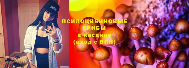 Псилоцибиновые грибы Magic Shrooms Никольск