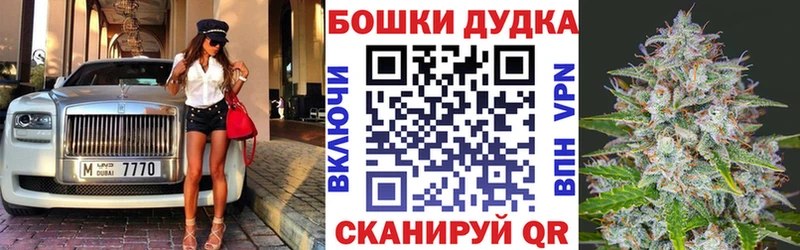 Конопля марихуана  где продают наркотики  Никольск 